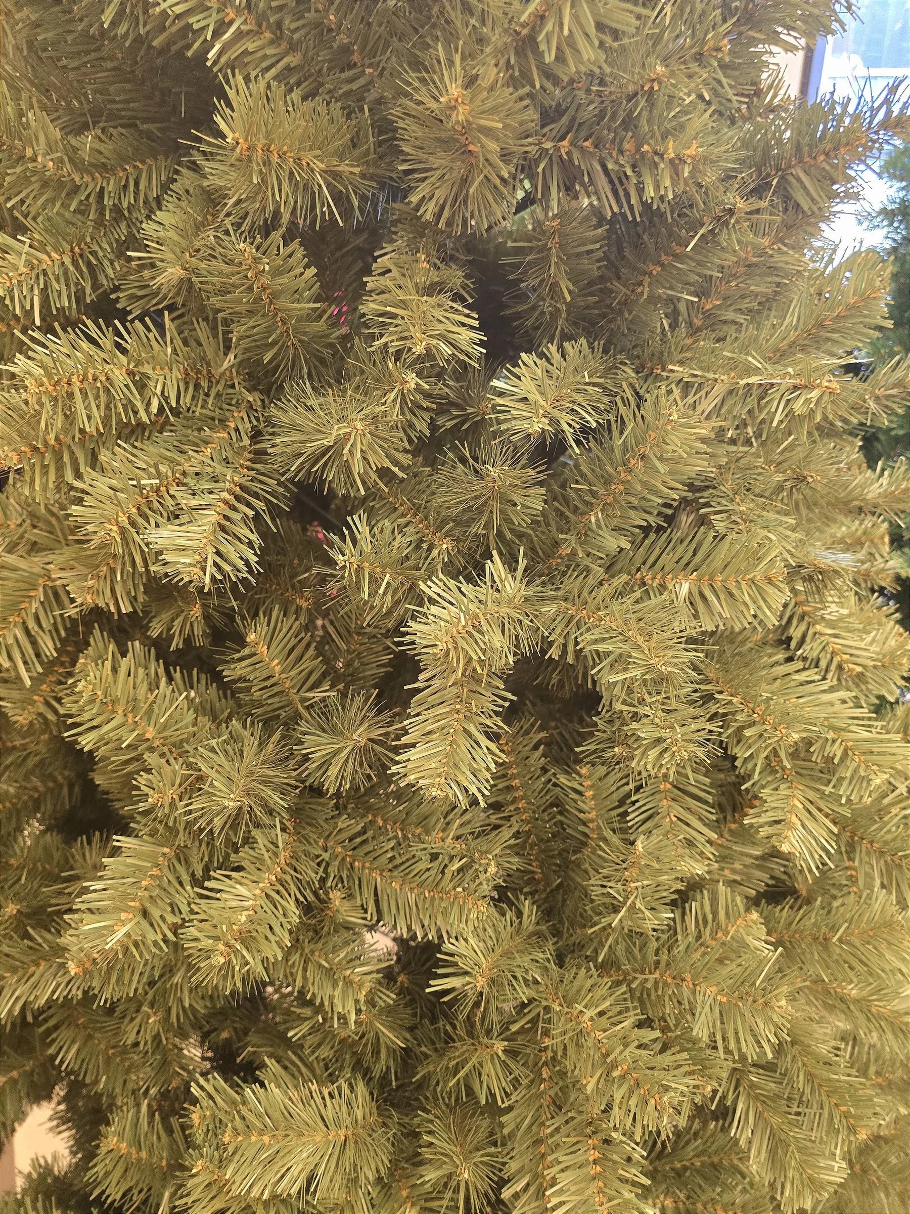 Pinheiro Ipanema Tradicional 2,40m 1000 Galhos Pré-Venda Exclusiva