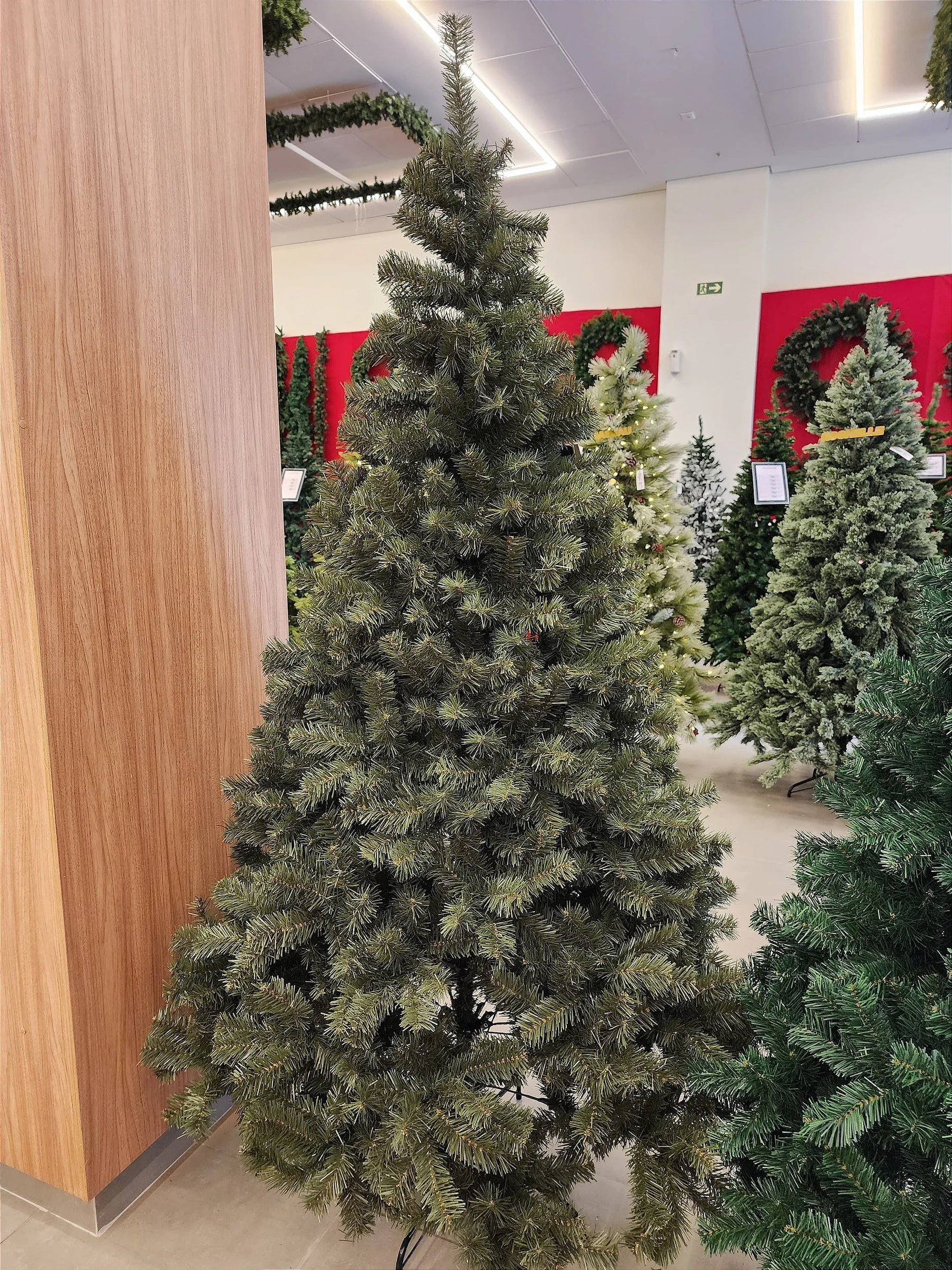 Pinheiro Ipanema Tradicional 2,40m 1000 Galhos Pré-Venda Exclusiva